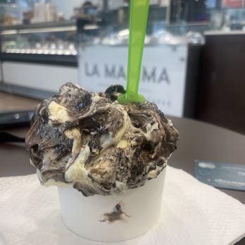 La Mamma - Gelato Near Me - St. Petersburg, Florida La Mamma - Gelato Near Me - St. Petersburg, Florida