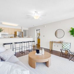 Oasis Staging + Design - Living Room