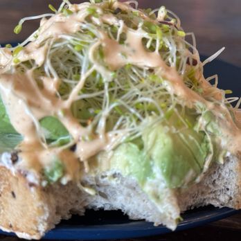 Barrelista Coffee House - Avo toast--thickly cut sourdough bread from Rize Up bakery in SF. - Coffee & Tea Near Me - Martinez, California Barrelista Coffee House - Avo toast--thickly cut sourdough bread from Rize Up bakery in SF. - Coffee & Tea Near Me - Martinez, California