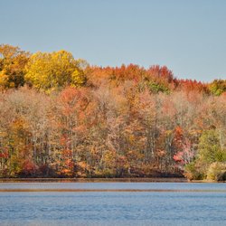 Plainsboro Preserve - Https://youtu.be/DWFTB5AHxDQ