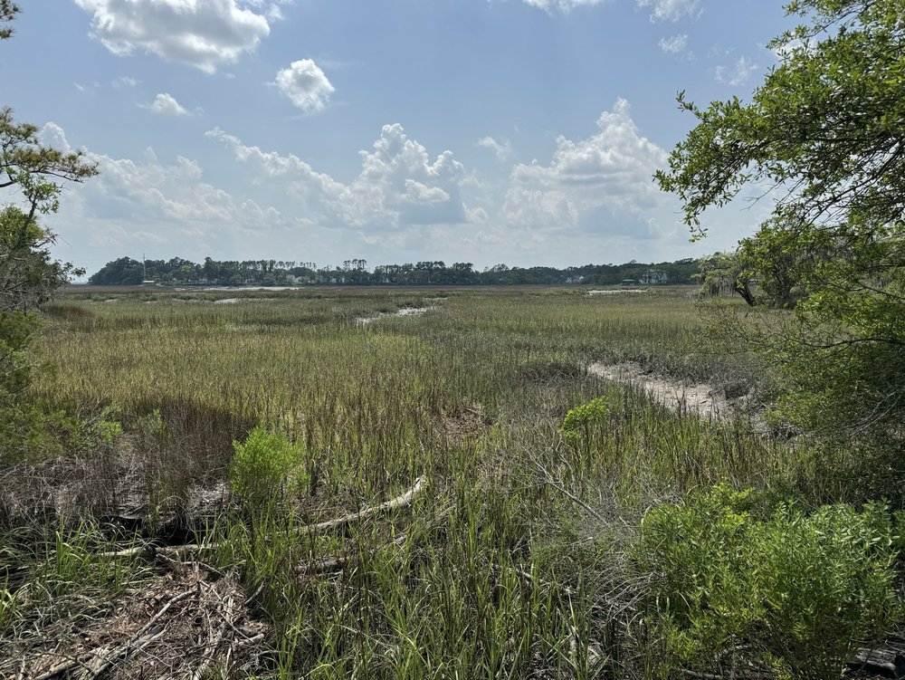 Spanish Moss Trail Logo