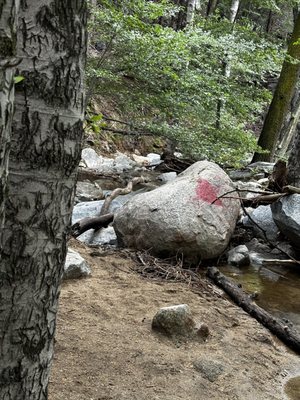 Heart Rock Trail by null