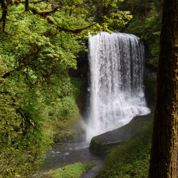 Silver Falls State Park - Photo credit: Terry Pon - Hiking Near Me - Sublimity, Oregon Silver Falls State Park - Photo credit: Terry Pon - Hiking Near Me - Sublimity, Oregon
