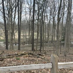 Columbus County Park - Overview from trail 8