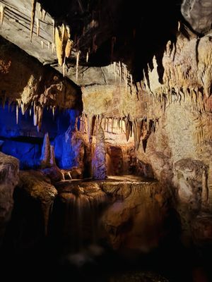Omaha's Henry Doorly Zoo and Aquarium by null