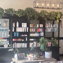 Paul Edward Salonspa
