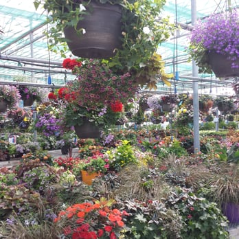 Terra - Nurseries & Gardening Near Me - Milton, Ontario