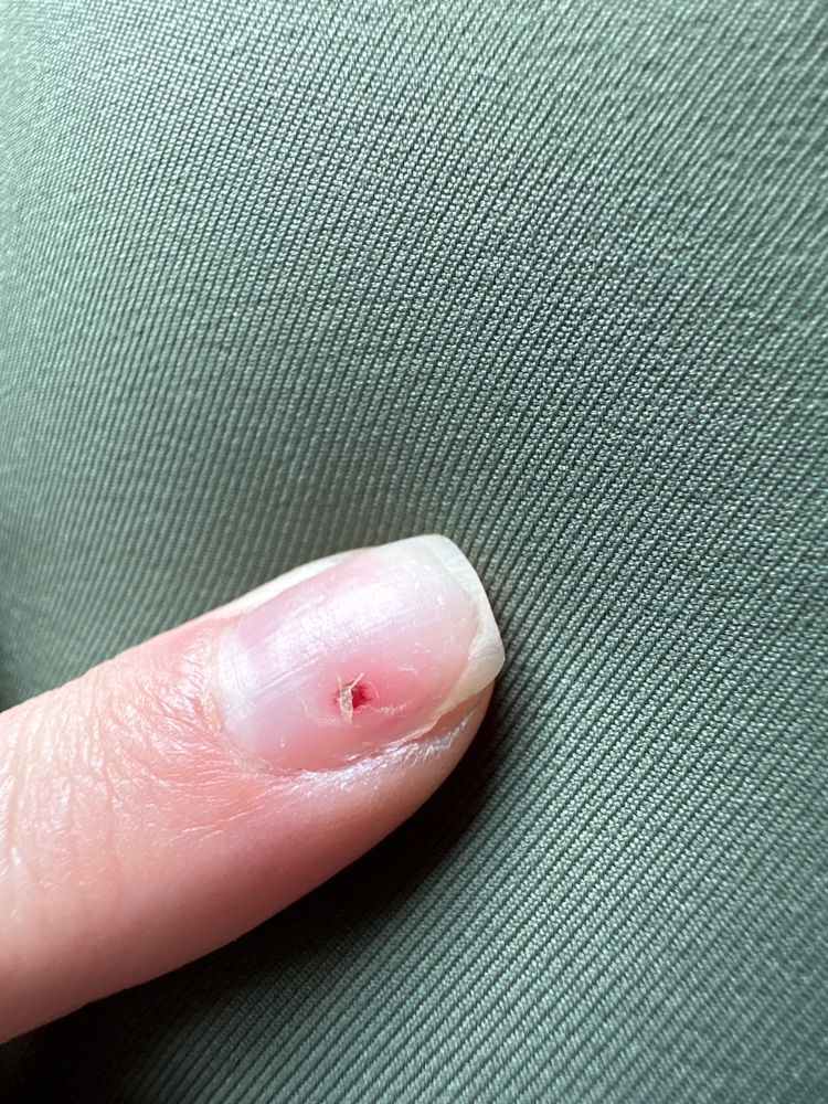 MEGAN NAILS AND SPA Updated September 2024 10 Reviews 2217 N Charles G Seivers Blvd