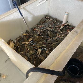 Quality Seafood - Live Blue crabs - Seafood Markets Near Me - Redondo Beach, California