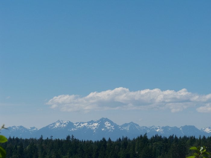 WINDERMERE PENINSULA PROPERTIES Updated September 2024 18400 State