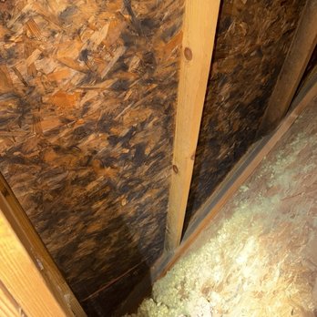 Summit to Sound Inspection Services - Attic mold - Home Inspectors Near Me - Sammamish, Washington