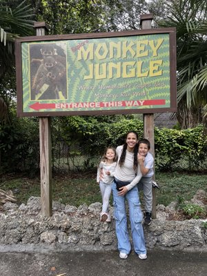 Monkey Jungle by null