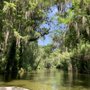 Photo of Mount Dora Lake Tours