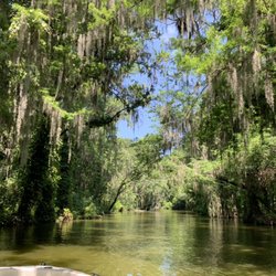 Mount Dora Lake Tours - Beautiful Lake Dora