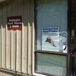 Washington Ferret Rescue and Shelter
