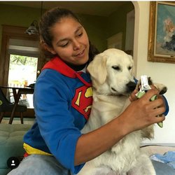 In Home Dog Training & Rehabilitation
