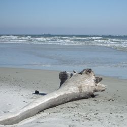 Palmetto Eye and Laser Center - Pawley's Island SC