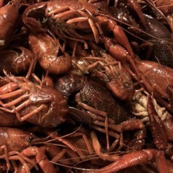 Wine Island Seafood - Its that time again!! First boil of the season!