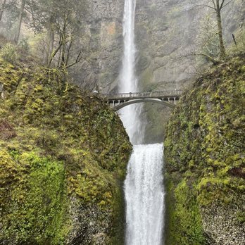Oregon Tour Co. - Historical Tours Near Me - Portland, Oregon Oregon Tour Co. - Historical Tours Near Me - Portland, Oregon