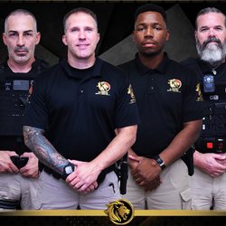 Affinium Security Protection - Professional Service
