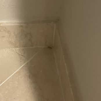 Delray Sands Resort - Cockroach in the bathroom - Hotels Near Me - Highland Beach, Florida