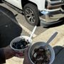 Photo of sweetFrog Premium Frozen Yogurt