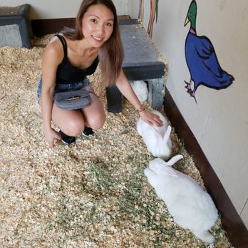 Maplewood Farm - Petting rabbits - Farms Near Me - North Vancouver, British Columbia