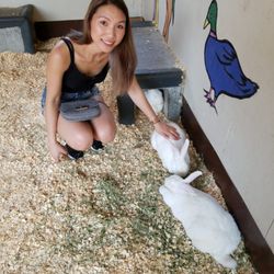 Maplewood Farm - Petting rabbits