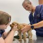 Photo of Animal Clinic of Windermere
