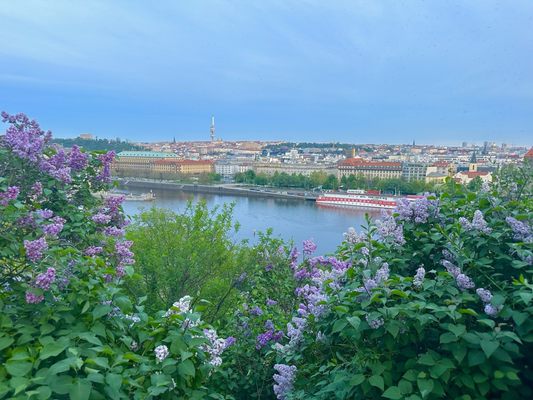 Letenský zámeček a zahrádky na Letné by null