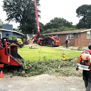 DeForest Tree Service - DeForest Tree Service Storm cleanup in Virginia Beach, Virginia - Tree Services Near Me - Virginia Beach, Virginia DeForest Tree Service - DeForest Tree Service Storm cleanup in Virginia Beach, Virginia - Tree Services Near Me - Virginia Beach, Virginia