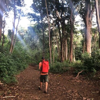 Kayak Adventures - The trail. - Rafting/Kayaking Near Me - Kapaa, Hawaii