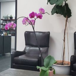 Lobby/ Waiting Area. Lobby/ Waiting Area.