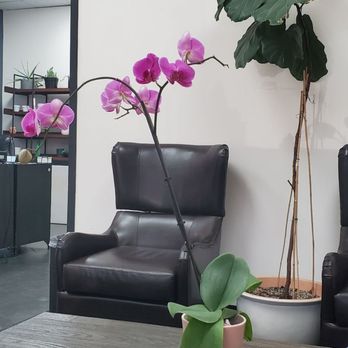 Soul Imagez Tattoo - Lobby/ Waiting Area. - Tattoo Near Me - San Jose , California Soul Imagez Tattoo - Lobby/ Waiting Area. - Tattoo Near Me - San Jose , California