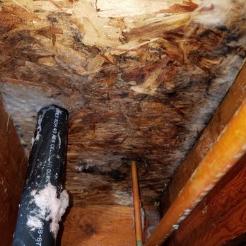 CalPro Inspection Group - Pest Control Near Me - Loomis, California CalPro Inspection Group - Pest Control Near Me - Loomis, California