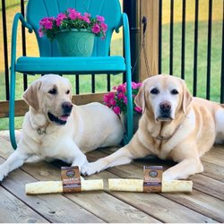 Brookside Barkery & Bath - Lee's Summit