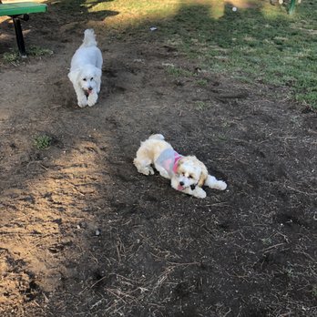 James B. Bryant Dog Park - Dog Parks Near Me - Ontario, California