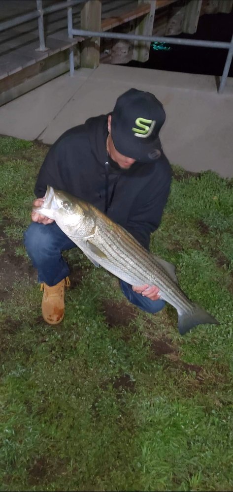 Get LIT Catch Fish by THC Fishing Logo