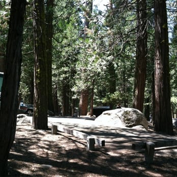 Pinecrest Lake - Lakes Near Me - Pinecrest, California Pinecrest Lake - Lakes Near Me - Pinecrest, California