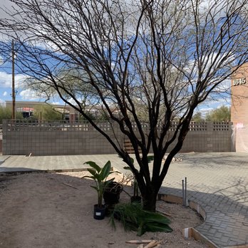 Meza Construction - Concrete stamp and block wall - General Contractors Near Me - Maricopa, Arizona Meza Construction - Concrete stamp and block wall - General Contractors Near Me - Maricopa, Arizona