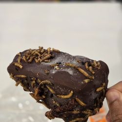 Wisconsin State Fair