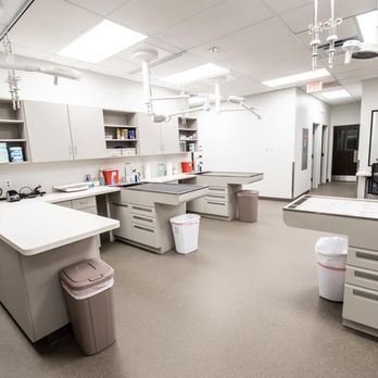 Cainhoy Veterinary Hospital - Veterinarians Near Me - Charleston, South Carolina Cainhoy Veterinary Hospital - Veterinarians Near Me - Charleston, South Carolina