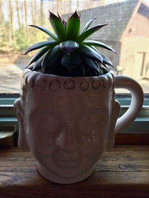 Early Bird Farm by null