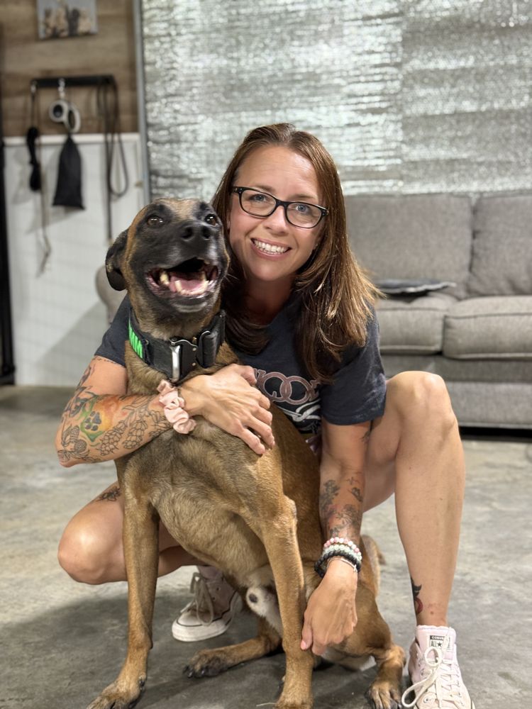 Paws And Applause - pet boarding facility in Maryville, TN