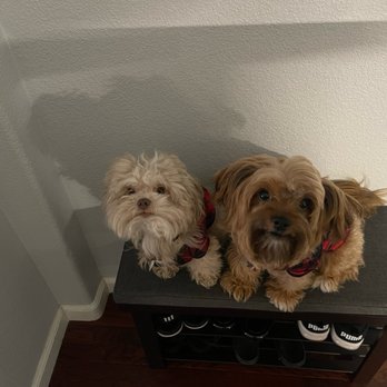 Kanine Freedom - Pet Training Near Me Kanine Freedom - Pet Training Near Me