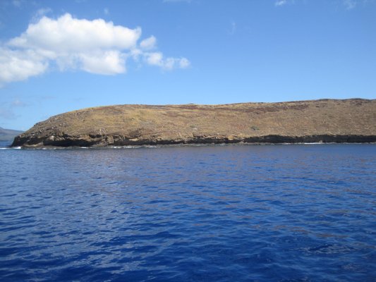 Molokini Crater by null