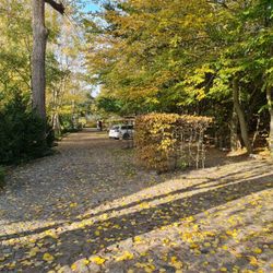 Ferienwohnungen Dünenhof
