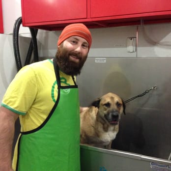 Rex - Pet Groomers Near Me - Seattle, Washington