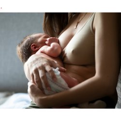 Raleigh Oak Lactation