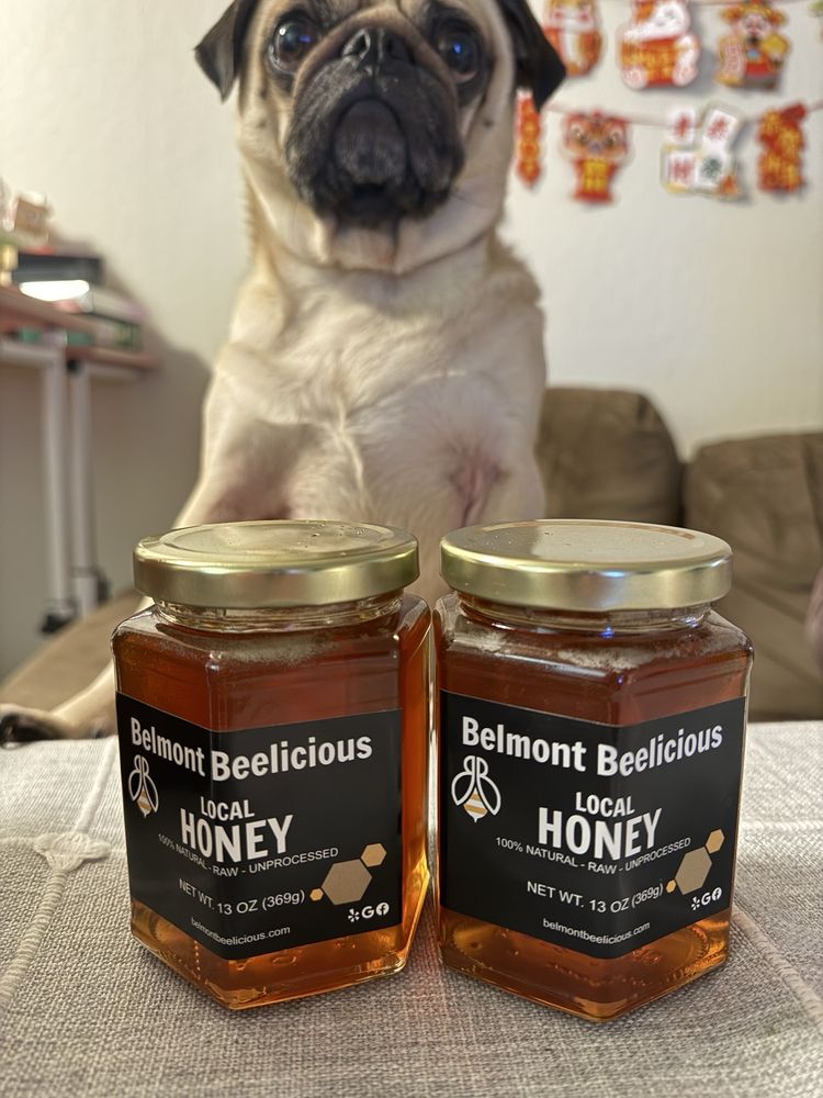 Belmont Beelicious - beekeeping in Belmont, CA